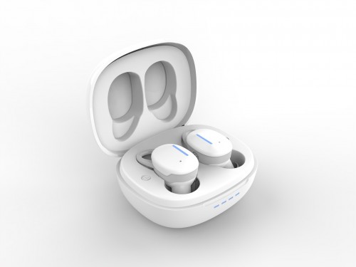 ANC wireless earbuds